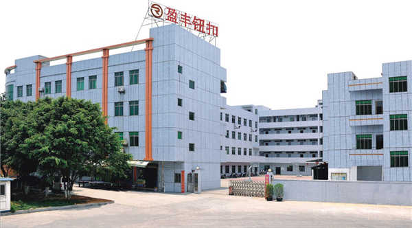 东莞桂商的领头羊东莞市广西商会杨燕茜会长