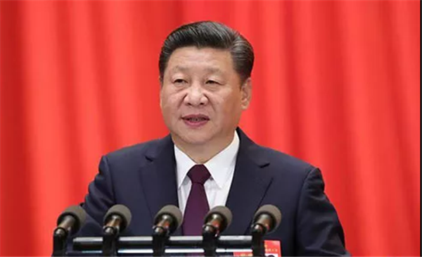 中科计量《新闻早报》2018年11月25日(周日)"/